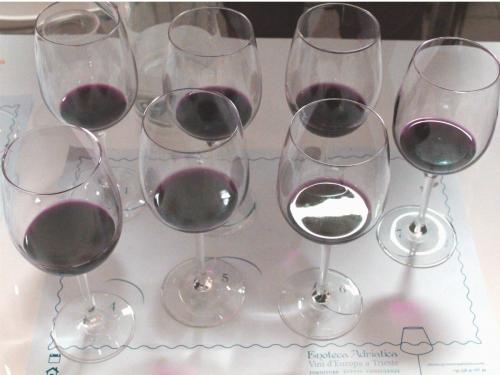 Le sette appellazione di Bordeaux in degustazione